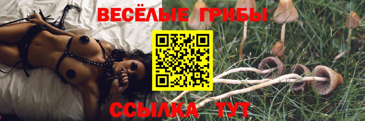 Псилоцибиновые грибы мицелий  Вход с VPN  Невинномысск 
